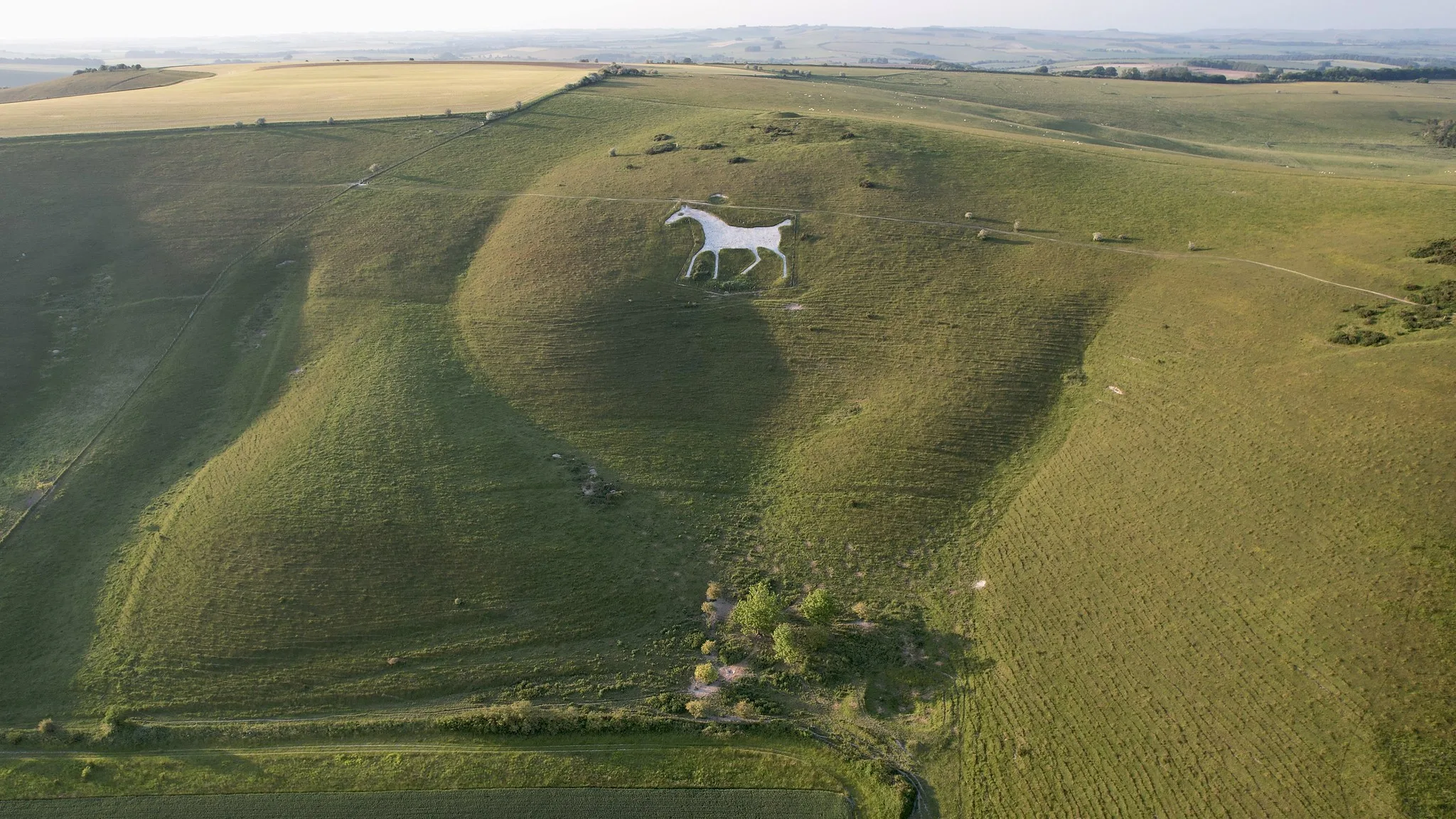 View from above of the Alton Barnes White Horse. The horse is etched into the green countryside with views of the surrounding lush landscapes in the background.