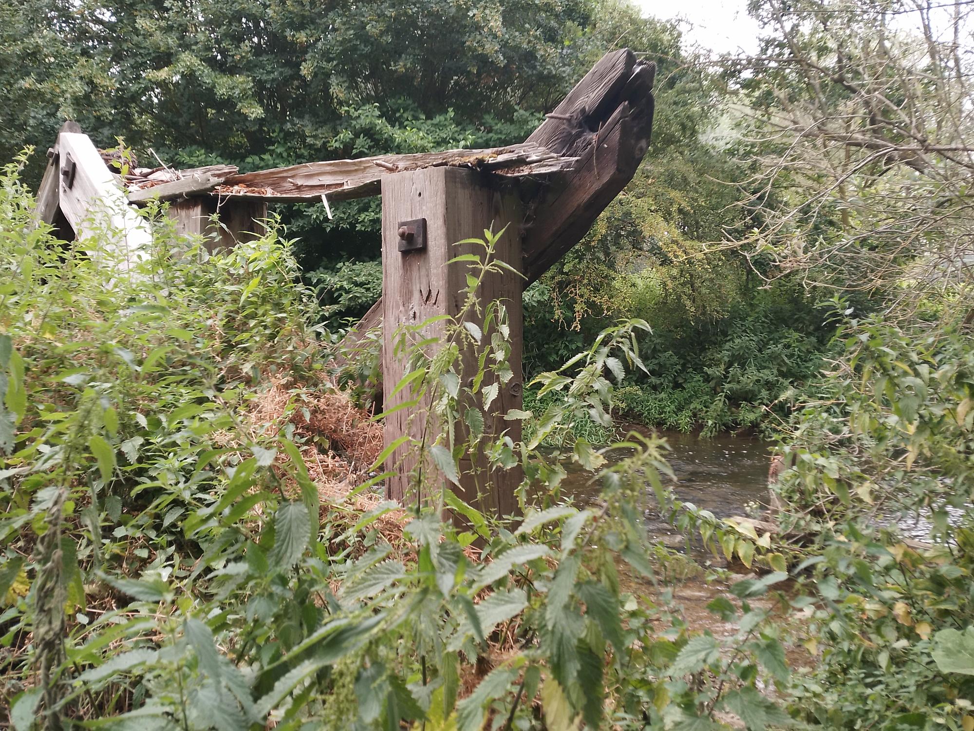 Overgrown grassy area with relics of an old trestle bridge.